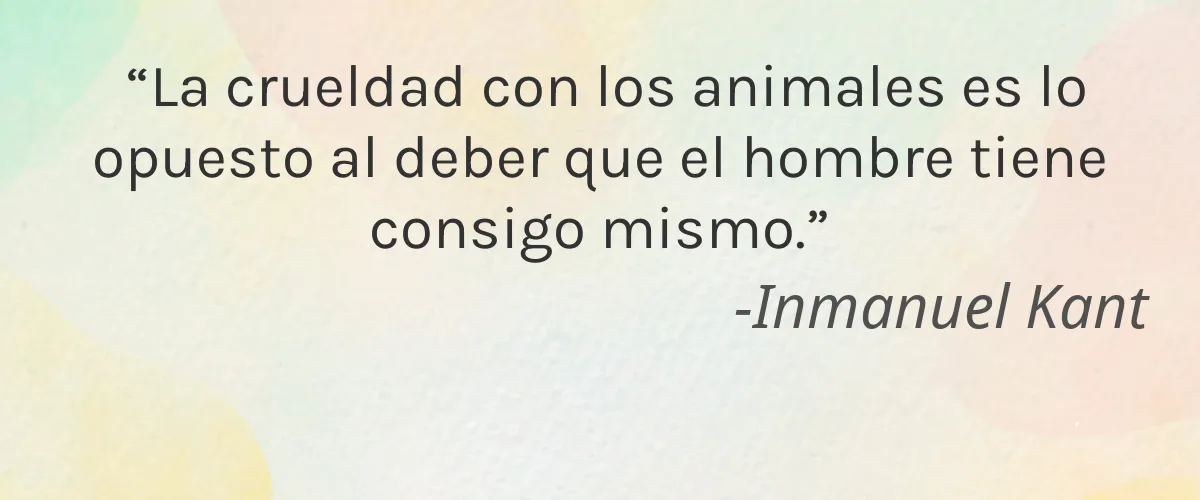 Ferreira Signature Lie 5 Cruelty Free Ferreira Signature Lie cita-Inmanuel Kant