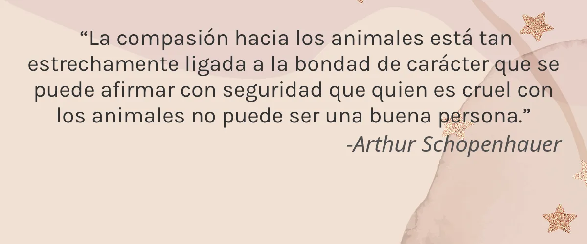 Finally Pure 4 Cruelty Free Finally Pure cita-Arthur Schopenhauer