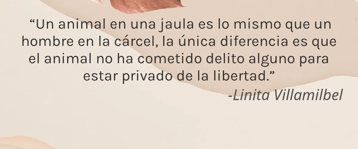 Cruelty Free First Honey cita-Linita Villamilbel
