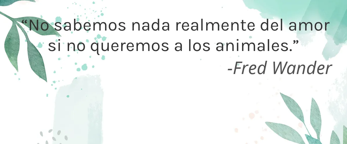 Fitne 4 Cruelty Free Fitne cita-Fred Wander