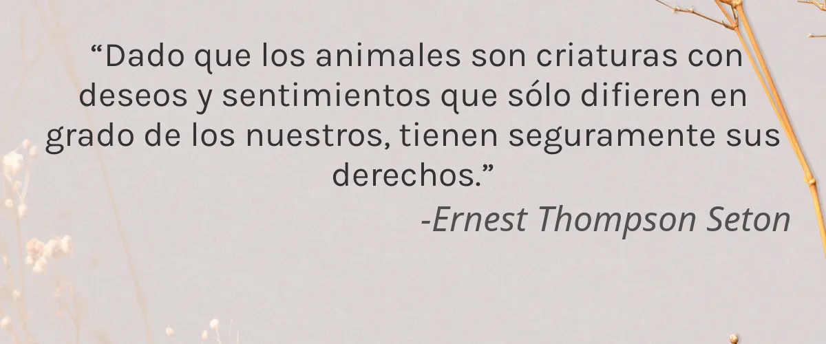 Five Petals 4 Cruelty Free Five Petals cita-Ernest Thompson Seton