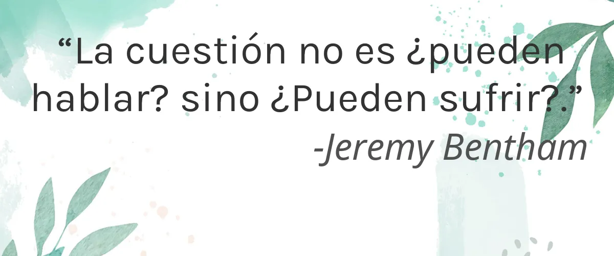 Cruelty Free Fleet and Flower cita-Jeremy Bentham
