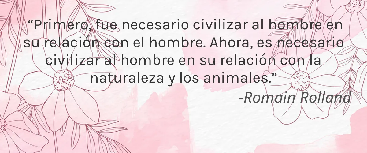 Floratropia Paris 4 Cruelty Free Floratropia Paris cita-Romain Rolland