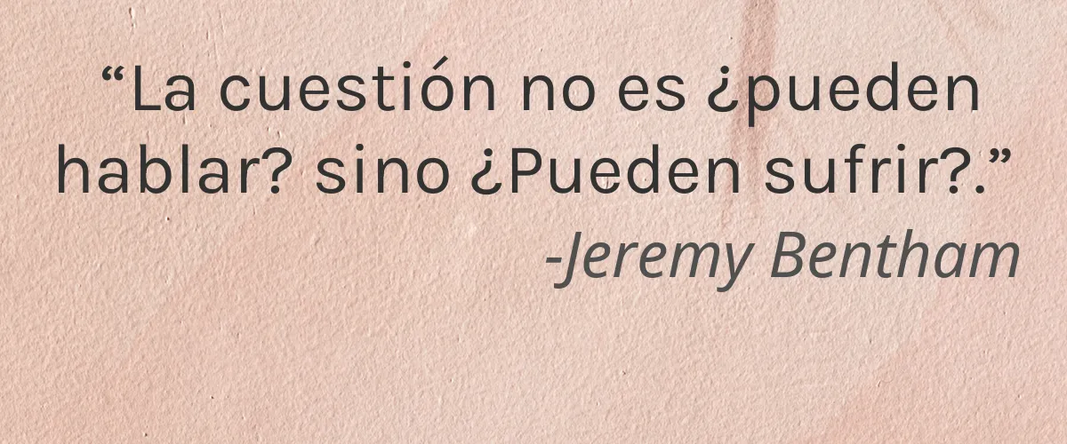 Foreo 4 Cruelty Free Foreo cita-Jeremy Bentham