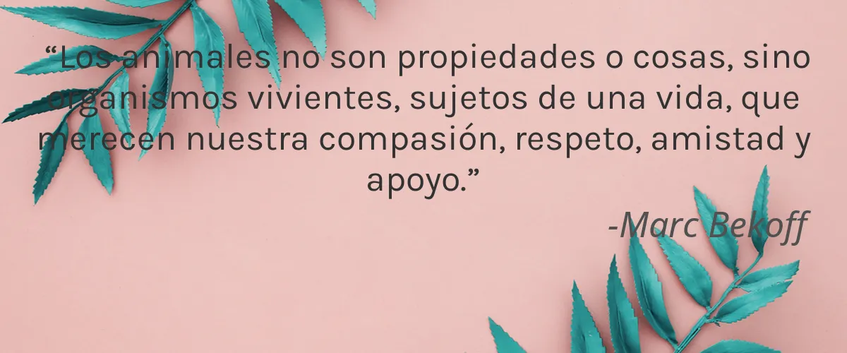 Forest Heal INC. 4 Cruelty Free Forest Heal INC. cita-Marc Bekoff