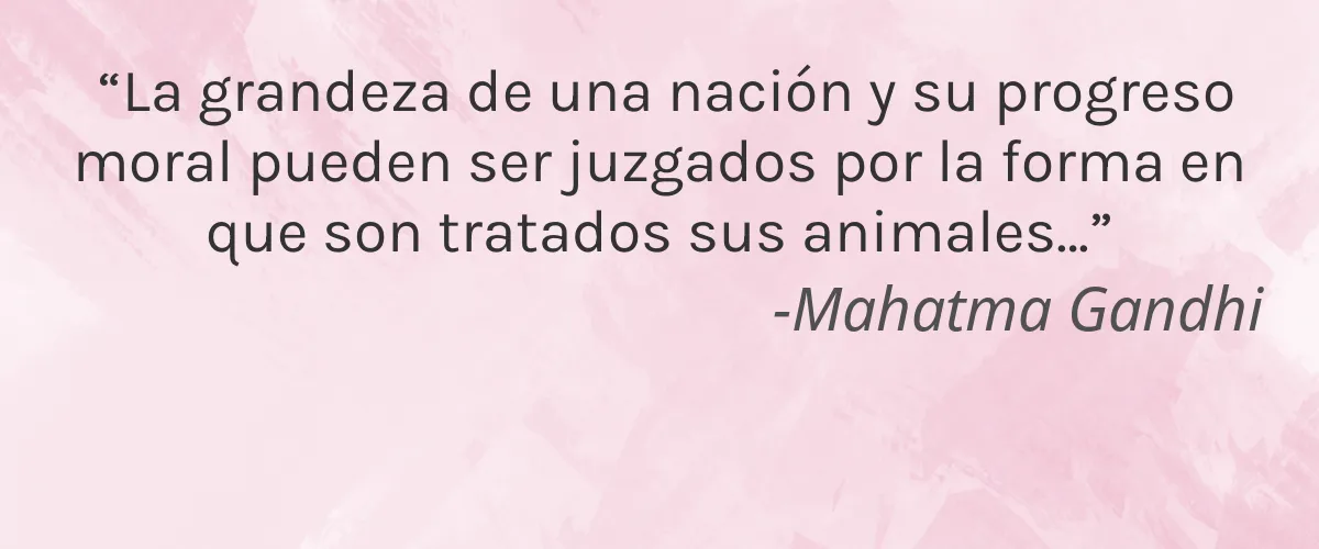 Forza de Vie 4 Cruelty Free Forza de Vie cita-Mahatma Gandhi