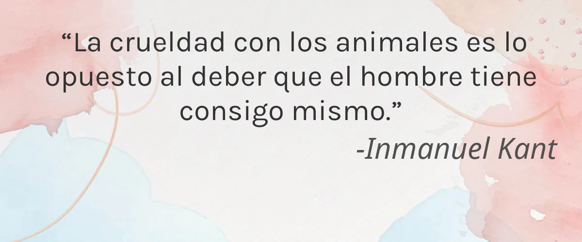 FOXBRIM 4 Cruelty Free FOXBRIM cita-Inmanuel Kant