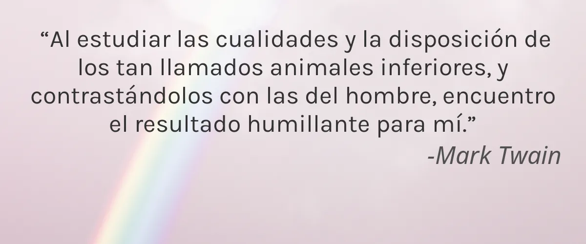 FRANCES PRESCOTT 4 Cruelty Free FRANCES PRESCOTT cita-Mark Twain