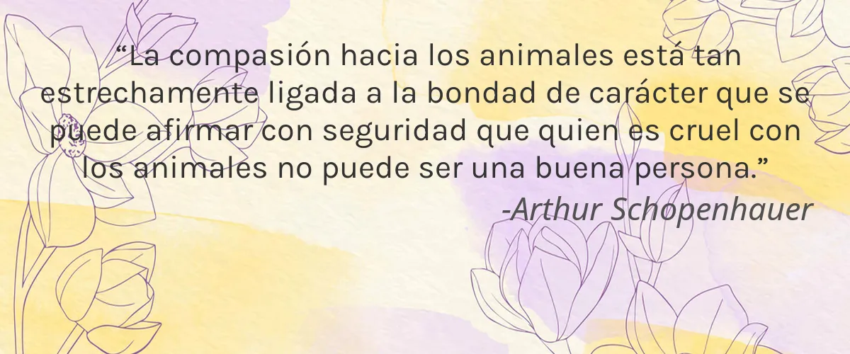 Cruelty Free Fysha cita-Arthur Schopenhauer