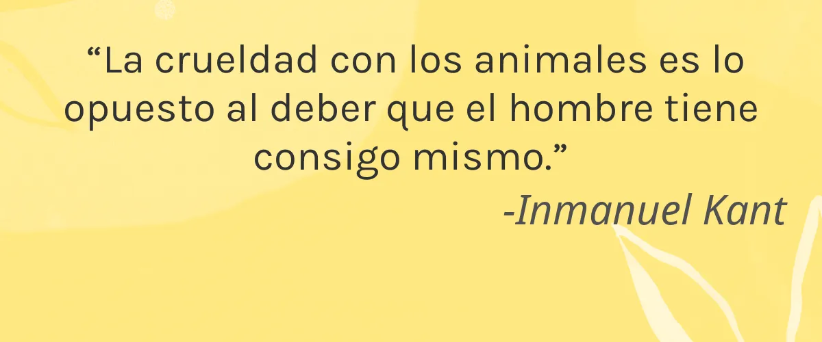 Gabriel Cosmetics 4 Cruelty Free Gabriel Cosmetics cita-Inmanuel Kant