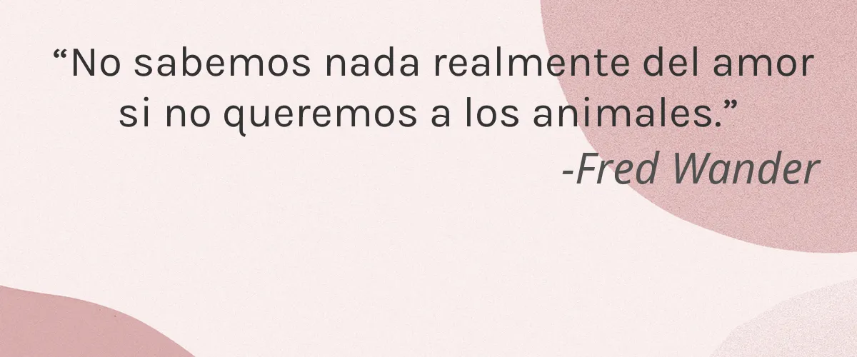 Geekyclean 4 Cruelty Free Geekyclean cita-Fred Wander