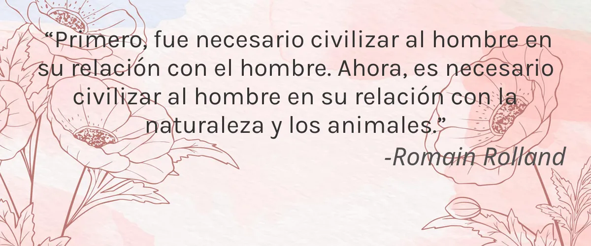 Germ Ready 5 Cruelty Free Germ Ready cita-Romain Rolland