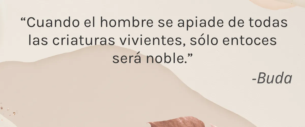 Ginger Armor 4 Cruelty Free Ginger Armor cita-Buda