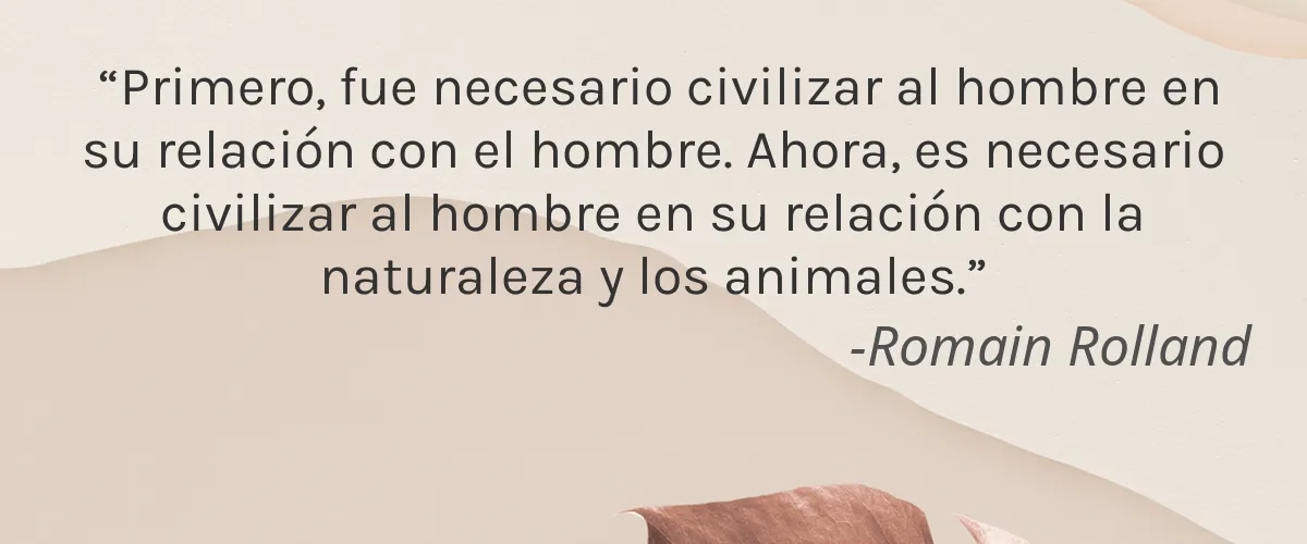Giordano Colors 4 Cruelty Free Giordano Colors cita-Romain Rolland