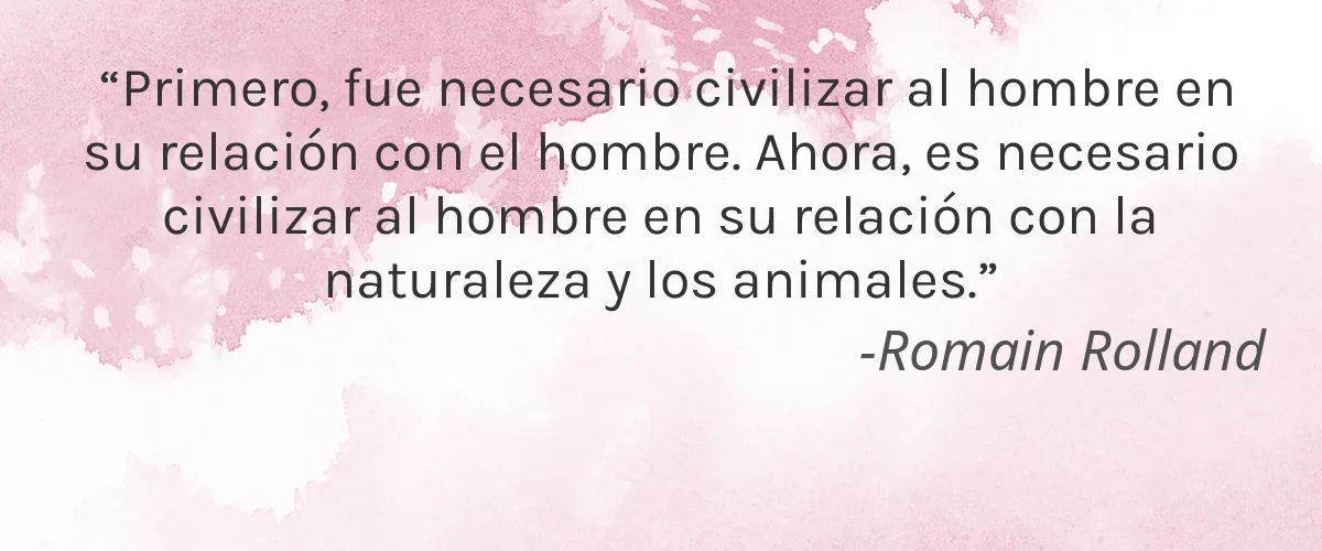 Cruelty Free Giraluna Cosmetica cita-Romain Rolland