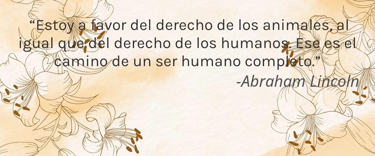 Cruelty Free GIRLPALOOZA cita-Abraham Lincoln