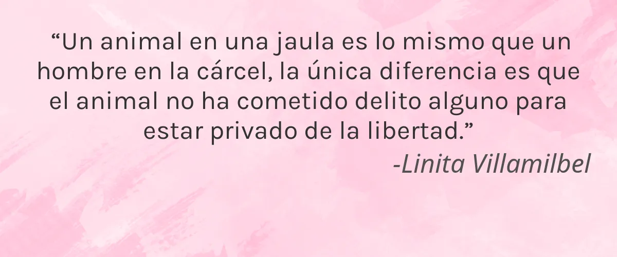 Cruelty Free Give Them Lala Beauty cita-Linita Villamilbel