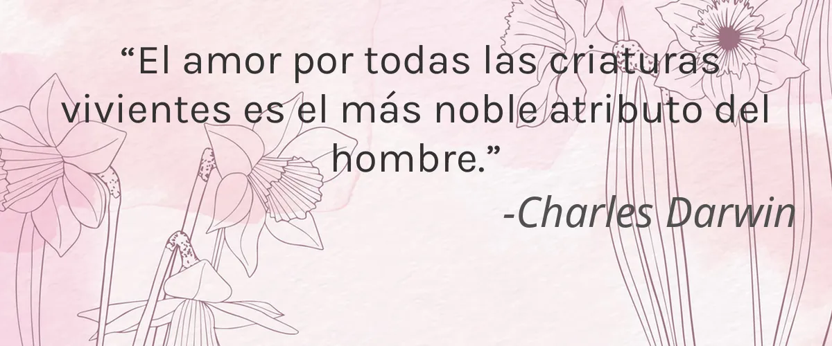 Cruelty Free Glam Factor cita-Charles Darwin