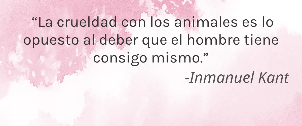 Glam Nails 4 Cruelty Free Glam Nails cita-Inmanuel Kant