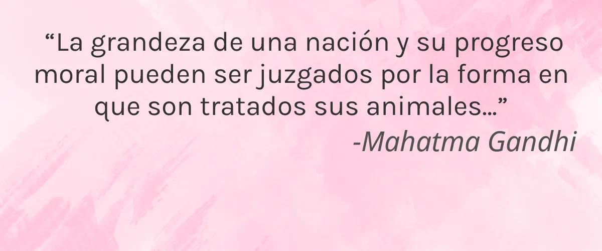 Good Stems 4 Cruelty Free Good Stems cita-Mahatma Gandhi