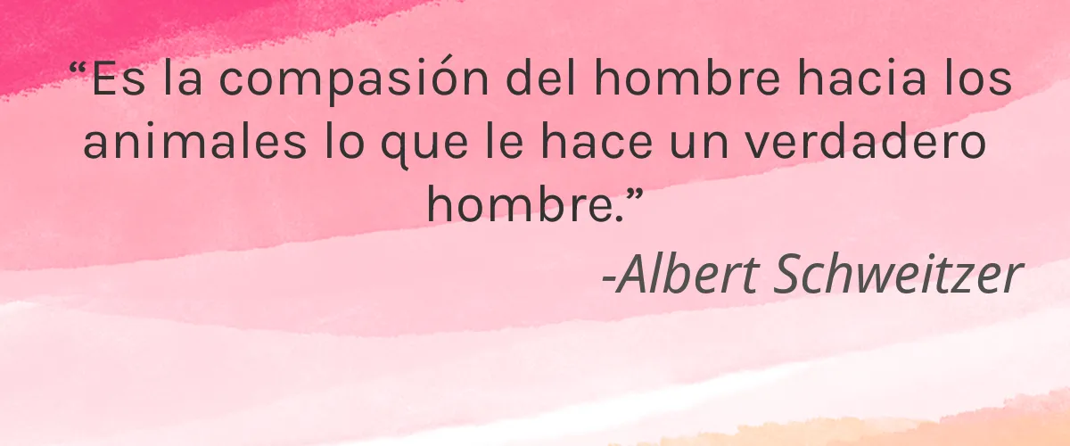 GOOD VENTURES 5 Cruelty Free GOOD VENTURES cita-Albert Schweitzer