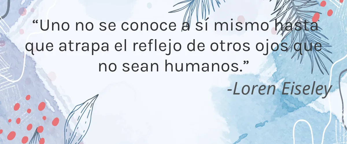 Gryph & IvyRose 4 Cruelty Free Gryph & IvyRose cita-Loren Eiseley