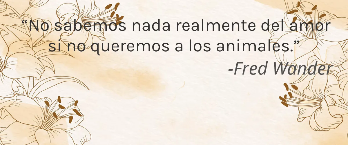 GuruNanda 4 Cruelty Free GuruNanda cita-Fred Wander