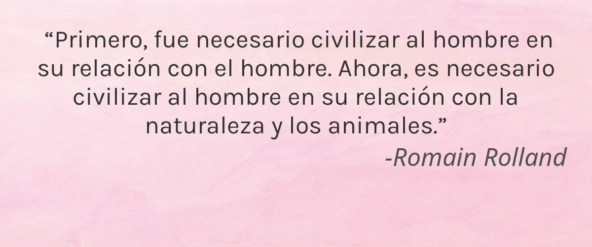 Gustavo Cosmetics 4 Cruelty Free Gustavo Cosmetics cita-Romain Rolland