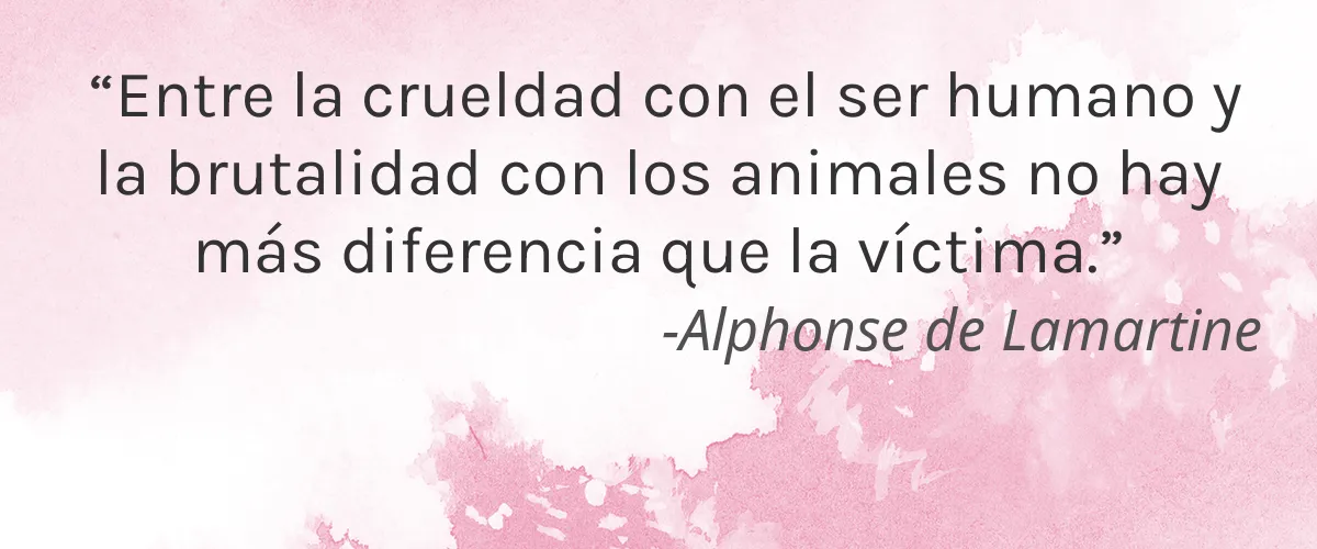 Guy Vybe 4 Cruelty Free Guy Vybe cita-Alphonse de Lamartine
