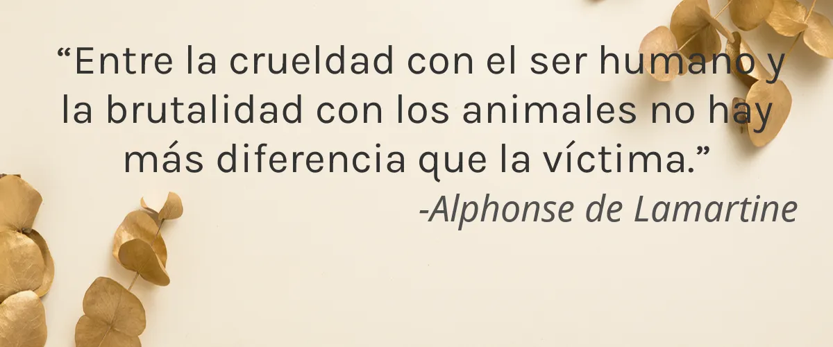 HAKA Kunz 4 Cruelty Free HAKA Kunz cita-Alphonse de Lamartine