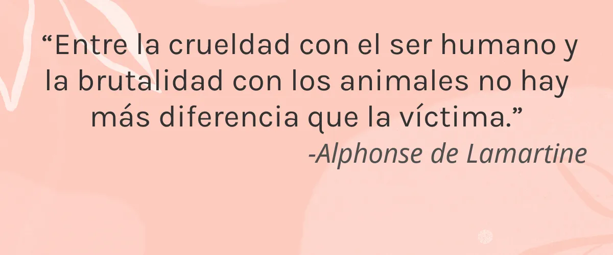 Handmaids Cosmetic 4 Cruelty Free Handmaids Cosmetic cita-Alphonse de Lamartine