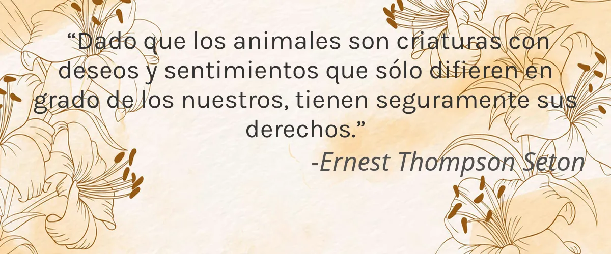 Hansim 4 Cruelty Free Hansim cita-Ernest Thompson Seton