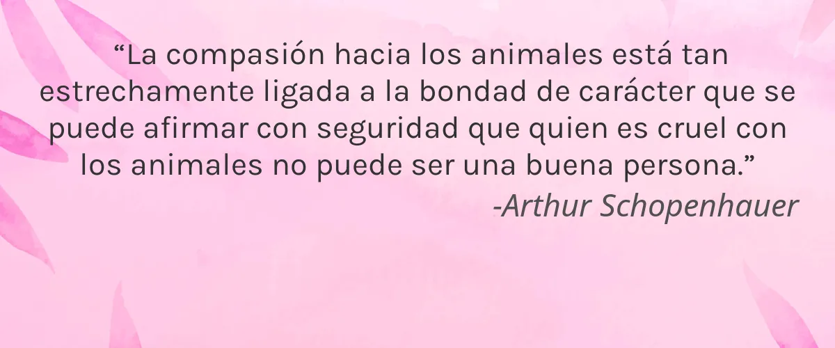 Cruelty Free Happy 2nd Birthday cita-Arthur Schopenhauer