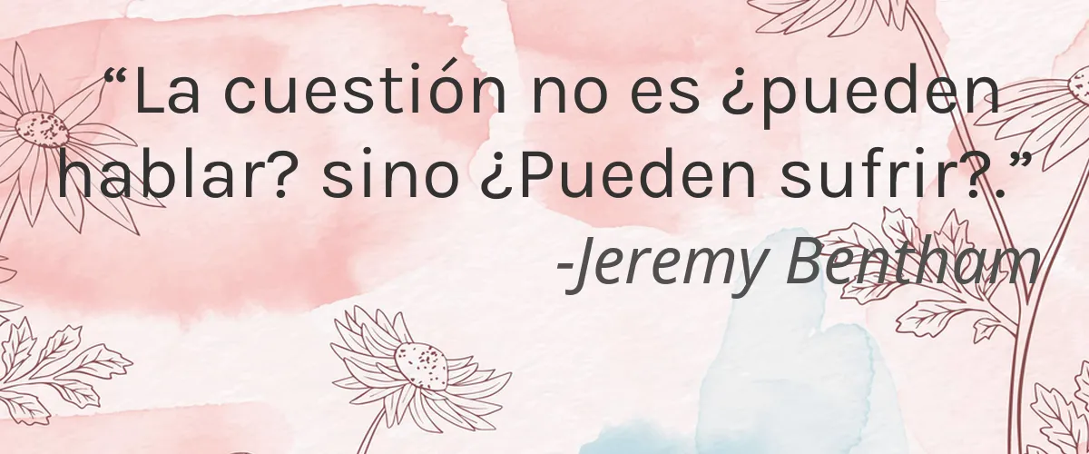 Harlo 4 Cruelty Free Harlo cita-Jeremy Bentham