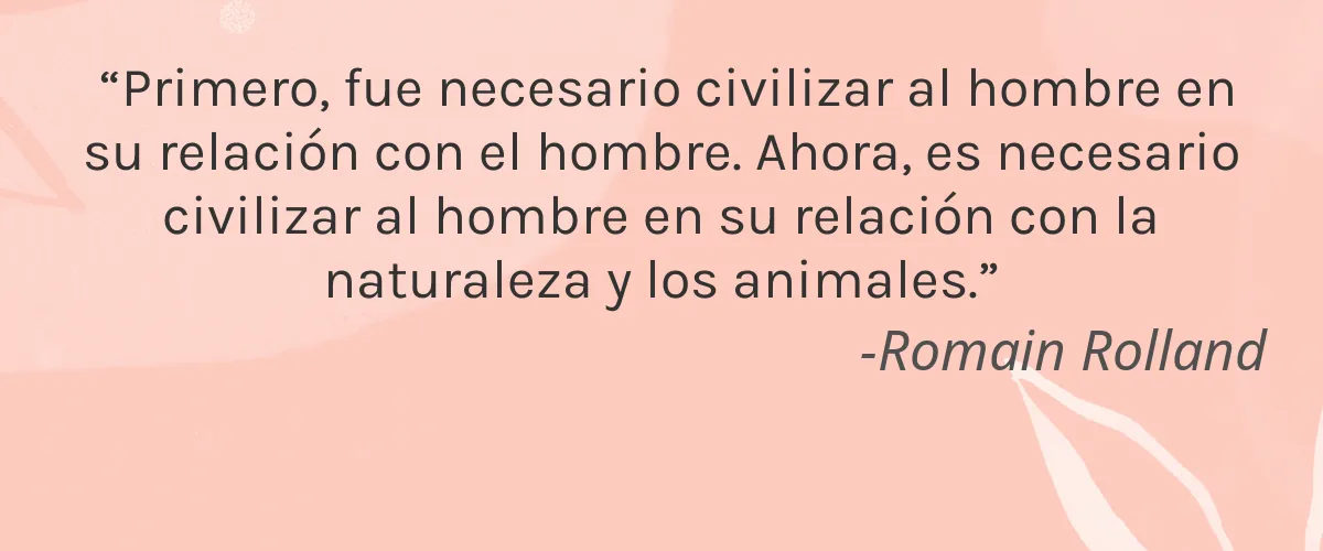 Harriet Herbery 4 Cruelty Free Harriet Herbery cita-Romain Rolland