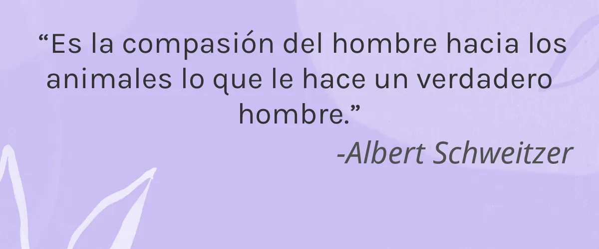 Hemp Hemp Hooray 4 Cruelty Free Hemp Hemp Hooray cita-Albert Schweitzer