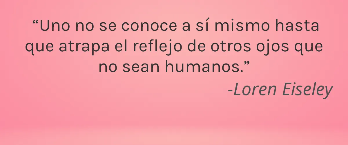 Hemplucid 4 Cruelty Free Hemplucid cita-Loren Eiseley