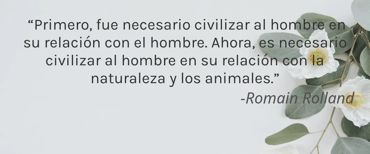 Herban Cowboy 4 Cruelty Free Herban Cowboy cita-Romain Rolland