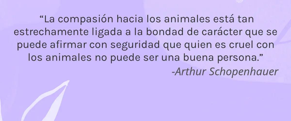 HEROINE NEW YORK INC 4 Cruelty Free HEROINE NEW YORK INC cita-Arthur Schopenhauer