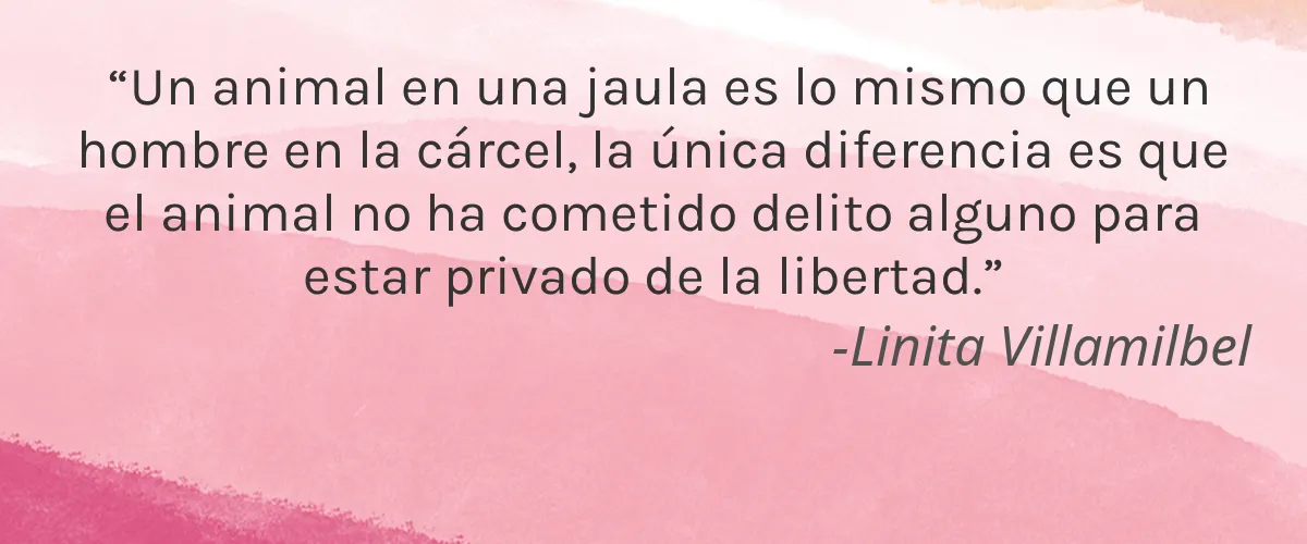 HIKI 4 Cruelty Free HIKI cita-Linita Villamilbel