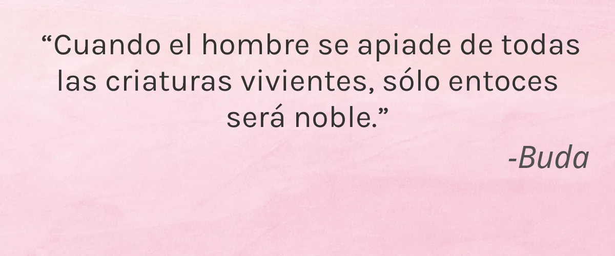 HnP 4 Cruelty Free HnP cita-Buda