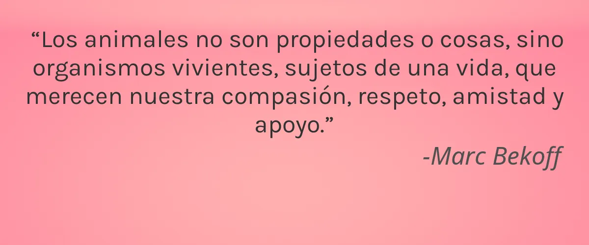 Cruelty Free Homesolv cita-Marc Bekoff