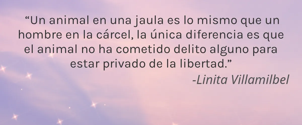 HTO International 4 Cruelty Free HTO International cita-Linita Villamilbel