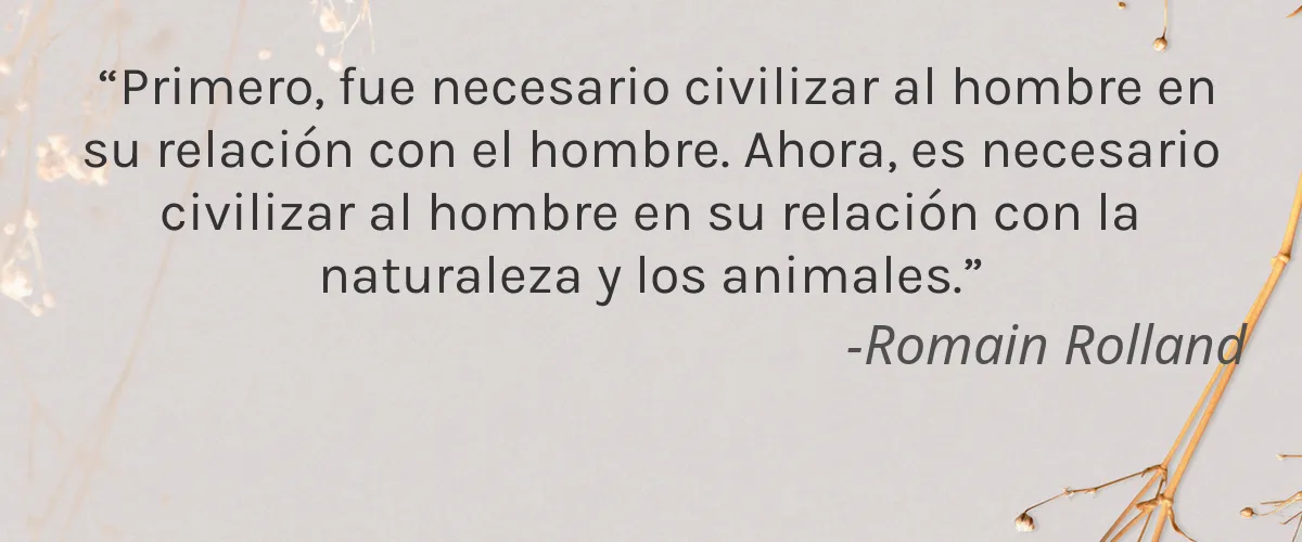 Cruelty Free I DREAM IN EVERGREEN cita-Romain Rolland