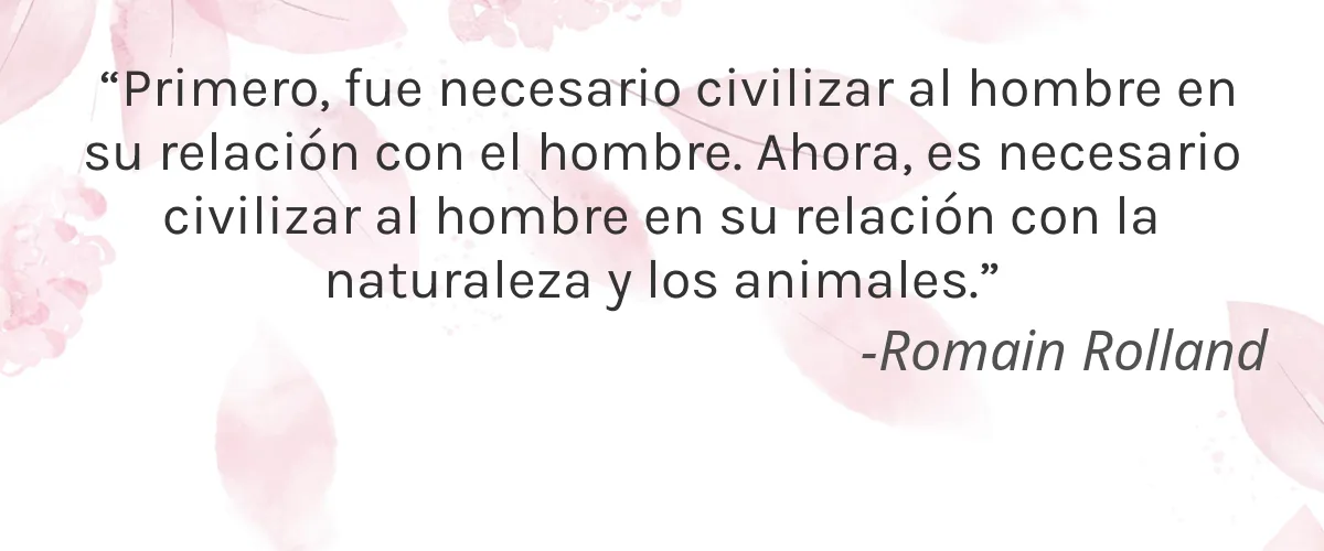 I Love Katfood 4 Cruelty Free I Love Katfood cita-Romain Rolland