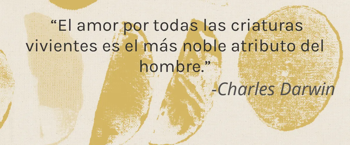 I Luv It 4 Cruelty Free I Luv It cita-Charles Darwin