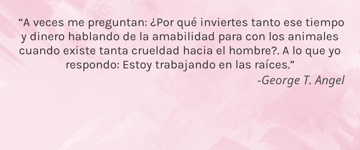 iHeart Nature 4 Cruelty Free iHeart Nature cita-George T. Angel