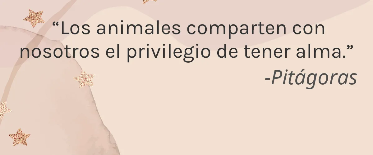 ILIA 4 Cruelty Free ILIA cita-Pitágoras