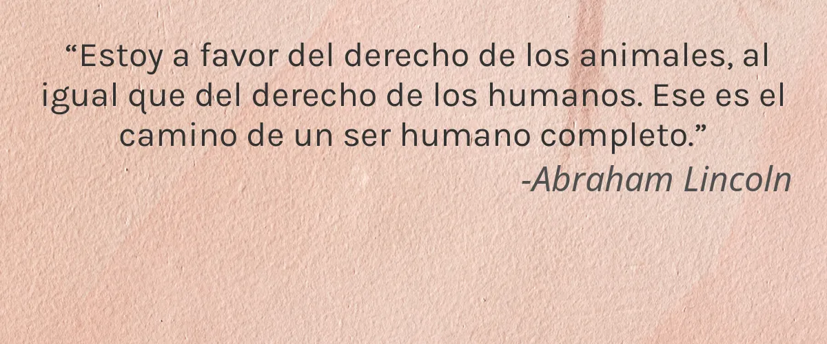 i.m. Walrus 4 Cruelty Free i.m. Walrus cita-Abraham Lincoln