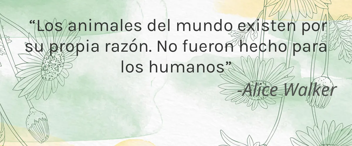IMTEK 4 Cruelty Free IMTEK cita-Alice Walker